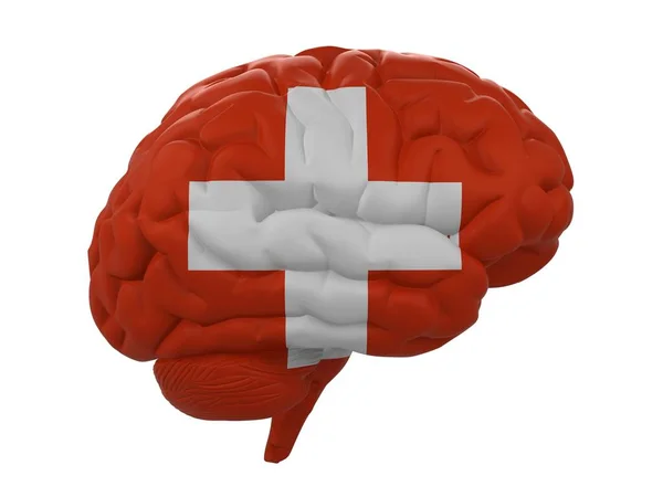 Ανθρώπινος εγκέφαλος είναι χρωματιστές σημαία της Ελβετίας — Φωτογραφία Αρχείου
