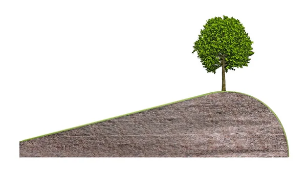 Tree on hill sectional — Stock Photo, Image