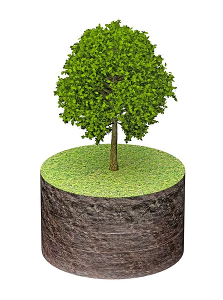 Drzewo na kawałku cylindra ziemi — Zdjęcie stockowe