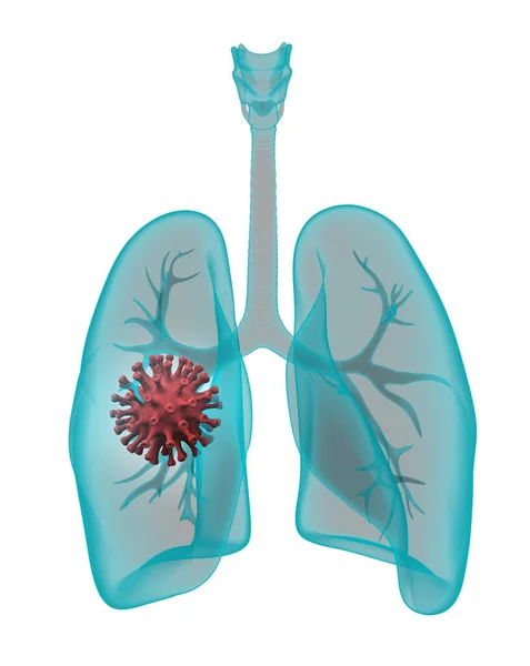 X光肺 有考拉韦分子分离于白色 3D渲染 — 图库照片