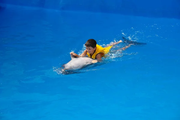 Mutlu çocuk yüzen yunus üzerinde