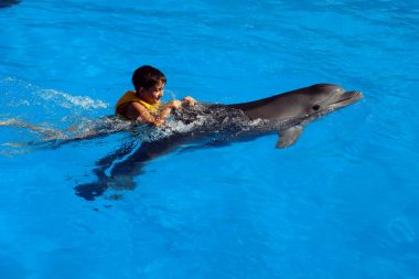 Neşeli çocuk yunus üzerinde yüzüyor