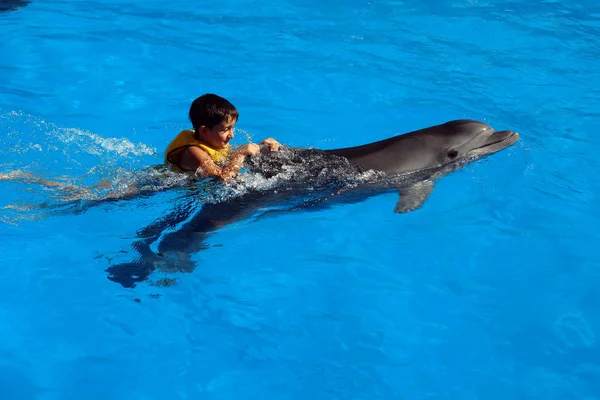 Neşeli çocuk yunus üzerinde yüzüyor