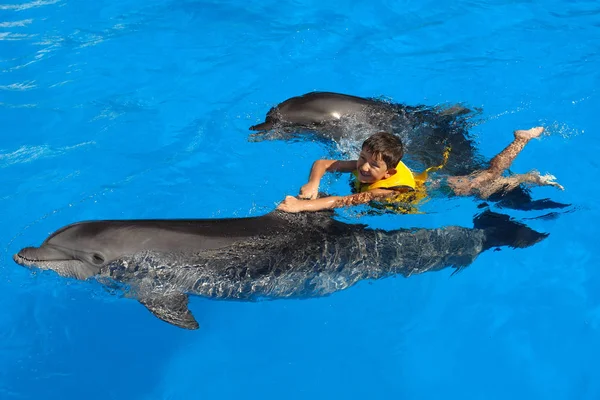 Neşeli çocuk yunuslarla yüzüyor