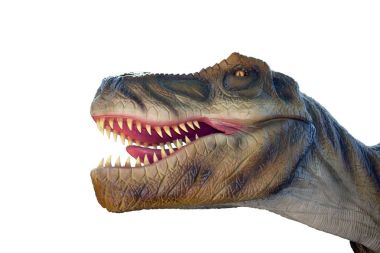 Beyaz zemin üzerine bir Tyrannosaurus Rex başkanı ağzı açık.                               