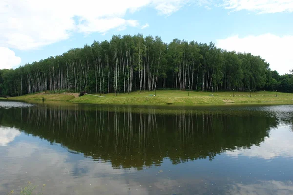 在湖岸上有步行区的柏树森林 — 图库照片