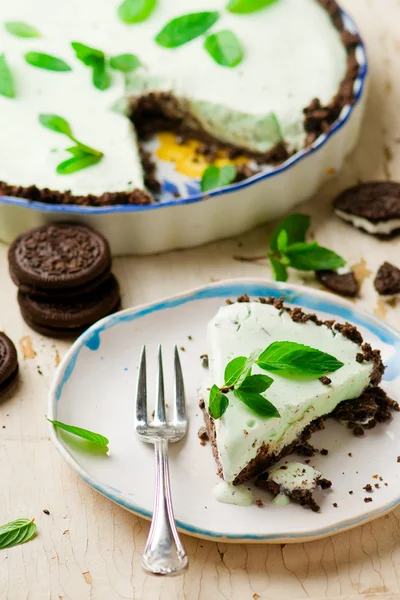 Ciasto lody domowe czekolada z miętą — Zdjęcie stockowe