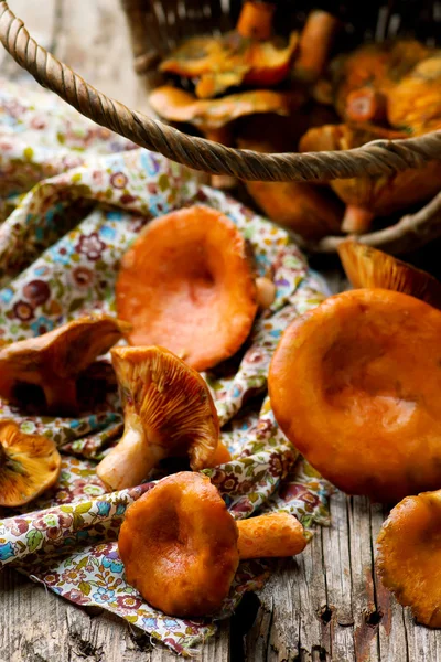 Сосновый гриб в корзине на старом деревянном столе — стоковое фото