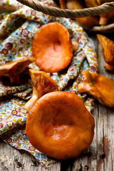 Cogumelo de pinheiro em uma cesta em uma velha mesa de madeira — Fotografia de Stock