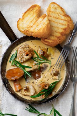 Ot ve Mozarella çam mantar