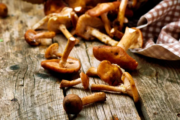 Fungo di miele su un vecchio tavolo di legno — Foto Stock