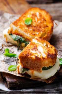 sıcak pizza sandviç