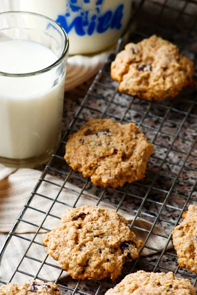 素朴なオートミール チョコチップの cookies.style — ストック写真