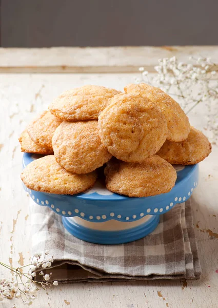 Kabak snickerdoodle çerezleri... rustik tarzı — Stok fotoğraf