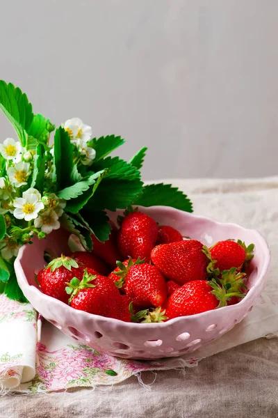 Fraise fraîche biologique dans un bol en céramique . — Photo