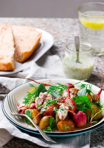 Rettichbraten neuer Kartoffelsalat mit Makrele — Stockfoto