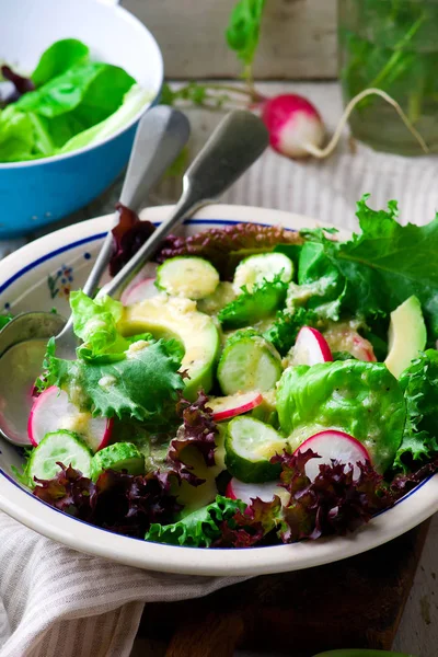 Summer salad with horseradish dressing. — Stock Photo, Image