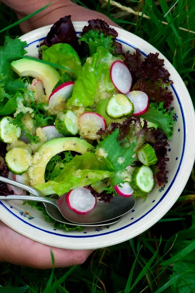 Sommarsallad med pepparrot dressing. — Stockfoto