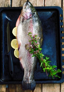 taze alabalık ahşap bir gemide. rustik tarzı 