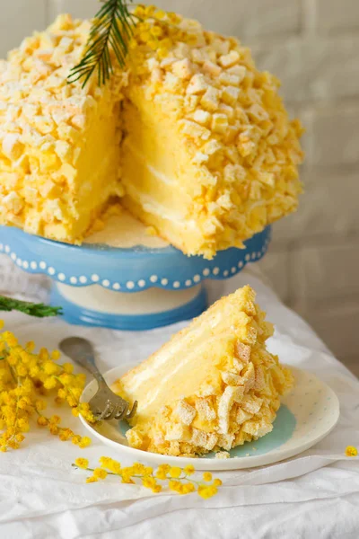 Torta italiana Mimosa — Foto Stock