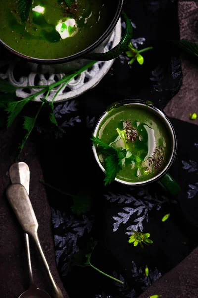Yabani sarımsak yağı ısırgan çorbası — Stok fotoğraf