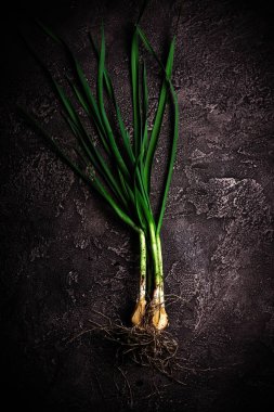  Taze yeşil sarımsak  