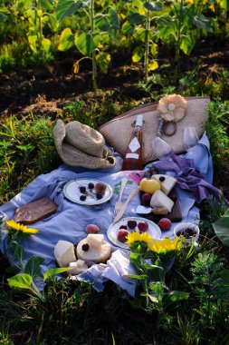 Ayçiçeği pikniği peynir, meyve ve gül şarabıyla