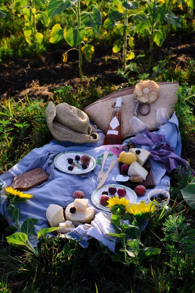 Slunečnicový piknik se sýrem, ovocem a růžovým vínem — Stock fotografie