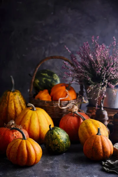 Fresh, organic Pumpkins on a table — Stock Photo, Image