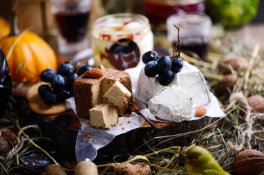 Kesme tahtasında taze keçi peyniri. seçici odak