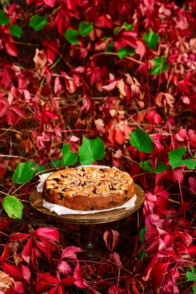 Plum ricotta crumble cake. style rustic — 스톡 사진