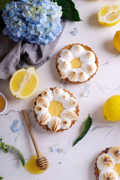 Vegan Citron Meringue Tart Style Vintage Selective Focus — Stock fotografie