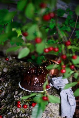 Kirazlı çikolatalı peynirli kek Bundt Pastası. .style rustic .dark photo.selektif odak