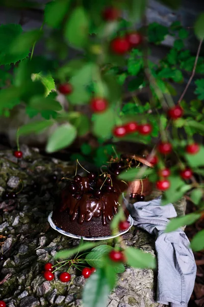 Chocolate Cherry Cheesecake Bundt Cake Style Rustic Dark Photo Selective — Stock Photo, Image