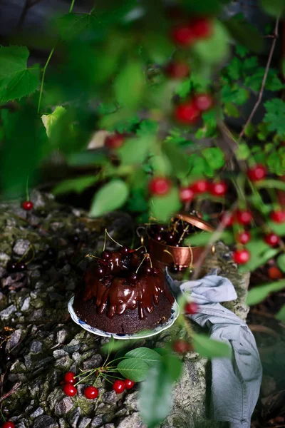 Chocolate Cherry Cheesecake Bundt Cake Style Rústico Dark Photo Selective — Foto de Stock