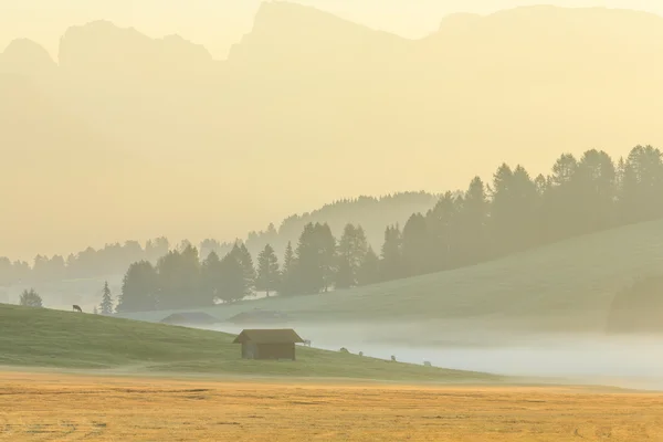 Brouillard matinal dans les Alpes, Dolomites, Italie — Photo