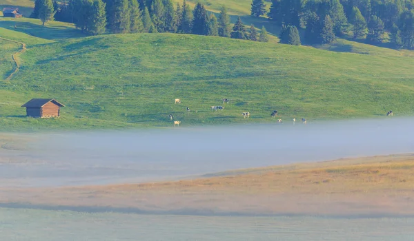 Sabah sis Alpler, Dolomites, İtalya — Stok fotoğraf