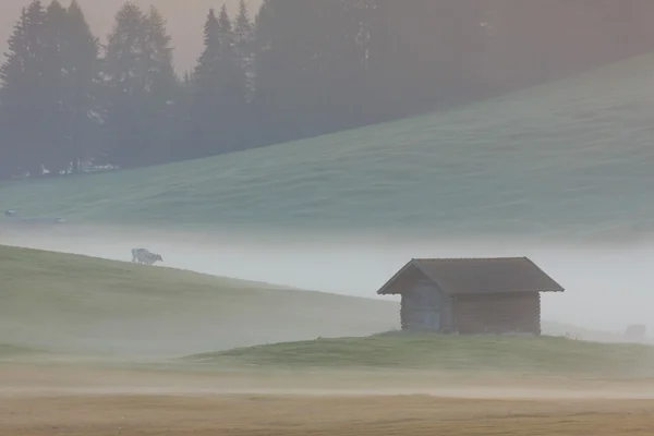 Nevoeiro matutino nos Alpes, Dolomites, Itália — Fotografia de Stock