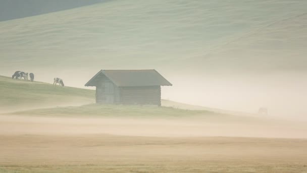 Porannej mgle na łąkach Alp — Wideo stockowe