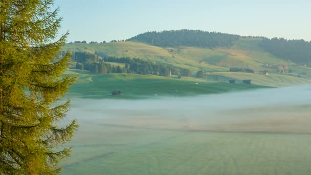Nevoeiro matutino nos prados dos Alpes — Vídeo de Stock