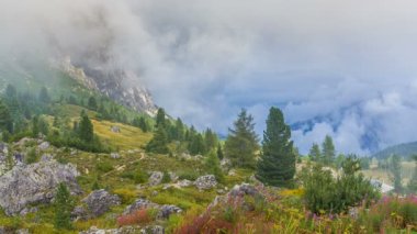 Passo Falzarego, Dolomites