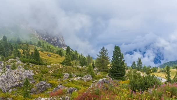 Passo Falzarego, Dolomites — Stok video