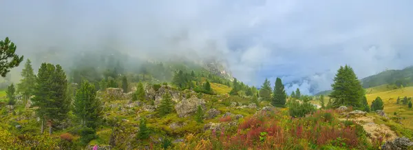 秋の霧はアルプスの峠で — ストック写真
