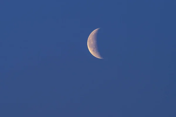 Foice Lua Jovem Céu Manhã — Fotografia de Stock