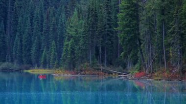 Kanodaki bir adam köknar ağaçlarıyla çevrili inanılmaz güzel bir göl boyunca yürür. Emerald Lake, Yoho Ulusal Parkı, British Columbia, Kanada.
