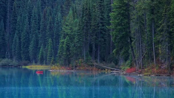 カヌーの男がモミの木に囲まれた信じられないほど美しい湖に沿って移動します エメラルド湖 ヨーホー国立公園 ブリティッシュコロンビア州 カナダ — ストック動画
