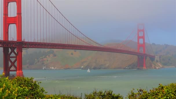 Golden Gate Köprüsü San Francisco Abd — Stok video