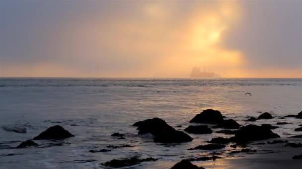 Una Nave Nella Nebbia Passa Largo Della Costa San Francisco — Video Stock