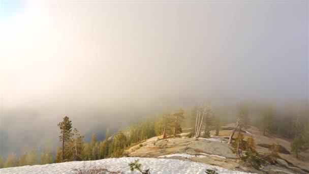 Vista Desde Sentinel Dome Parque Nacional Yosemite California — Vídeo de stock