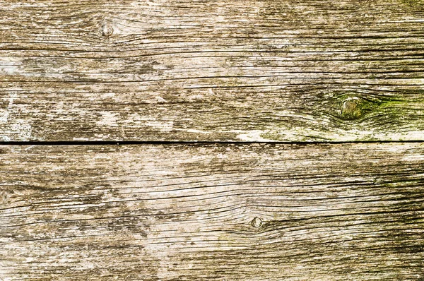 Wood texture background — Stock Photo, Image